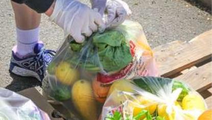 School Break Groceries - December 2024